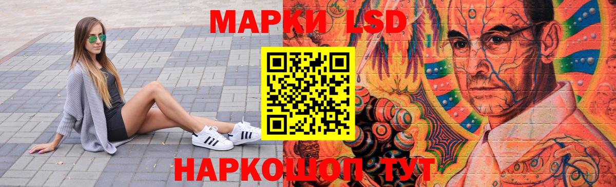 Бердск  Лсд 25 экстази кислота  Вход с VPN 