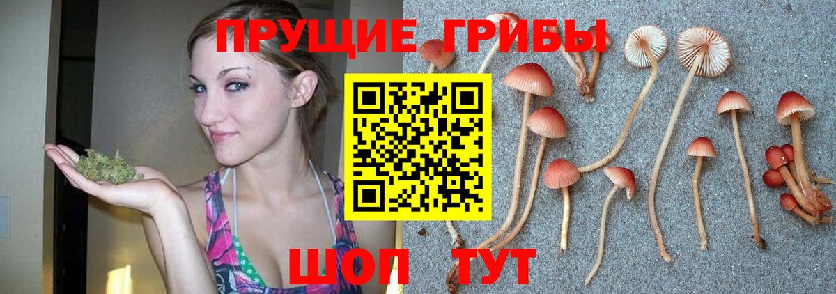 Галлюциногенные грибы мицелий Бердск