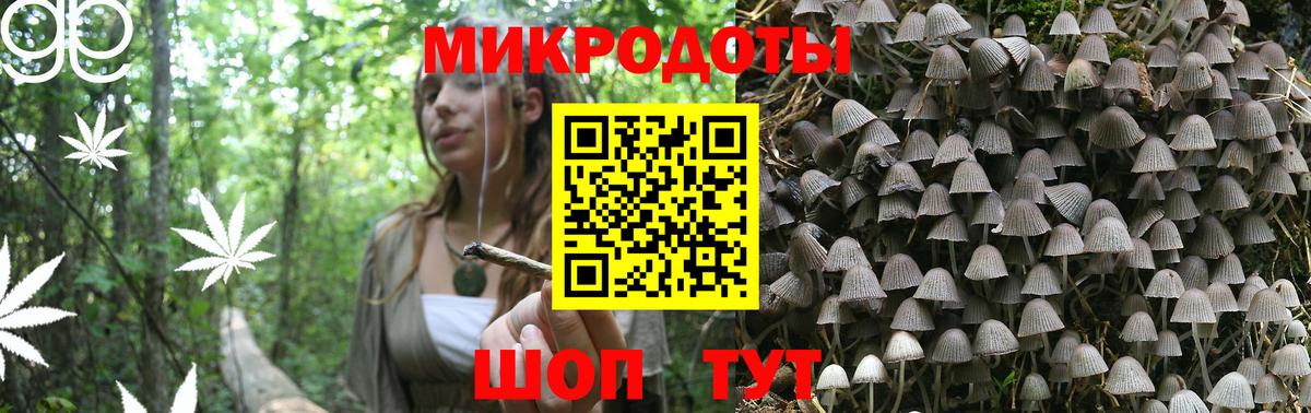Бердск  закладки  Вход с VPN  Галлюциногенные грибы мухоморы 